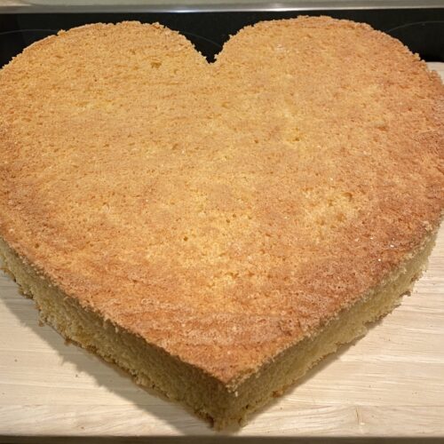 IMG_1908-Kopie-scaled-1 Biskuitboden